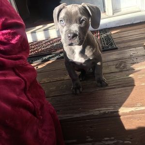 Meet your Posher, Kay